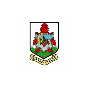 School image