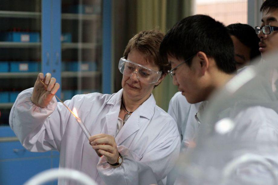 Dipont Education image