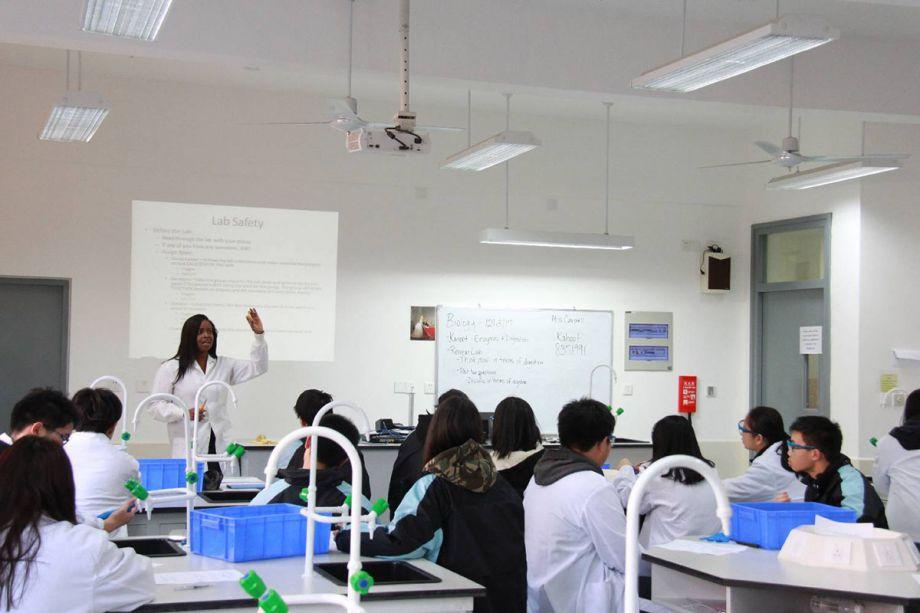 Dipont Education image