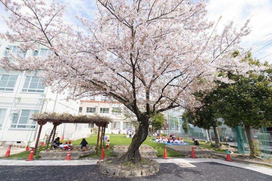 Enishi International School image