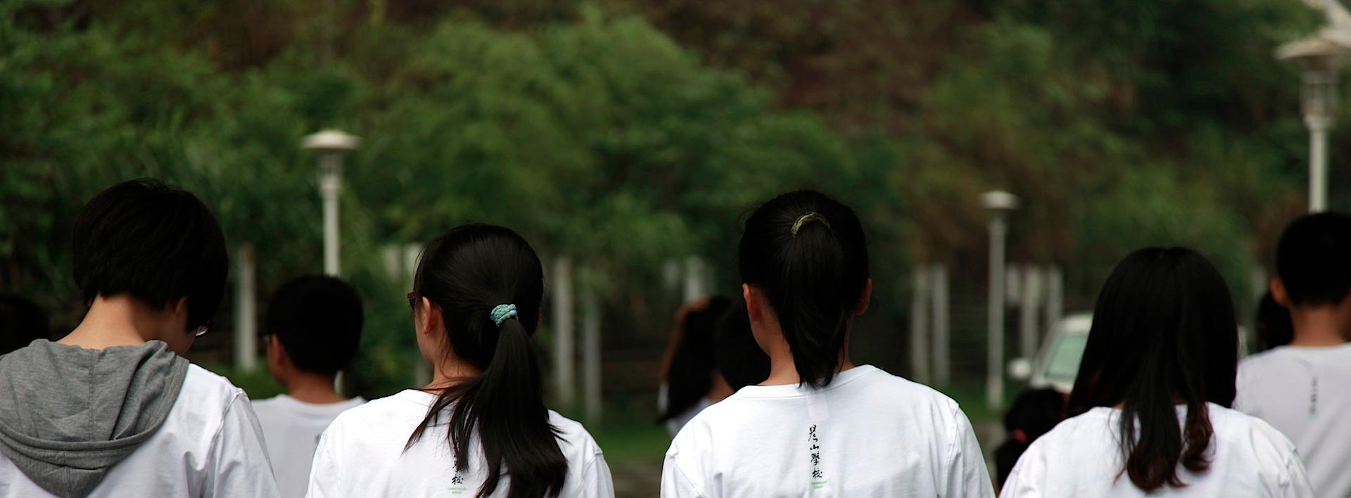 Chenshan School image