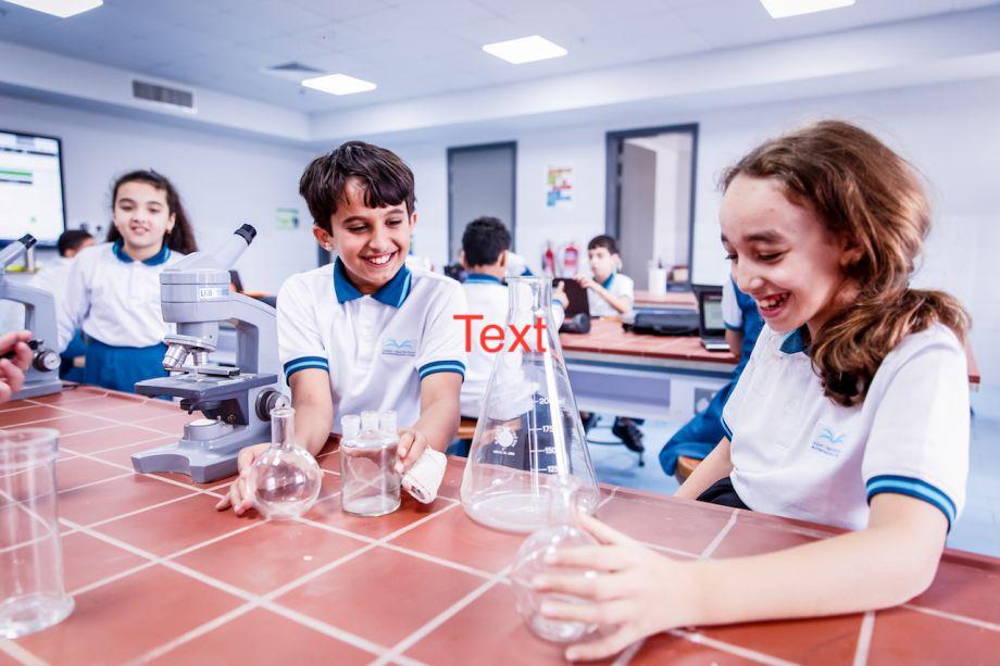 Liwa International School - Al Mushrif image