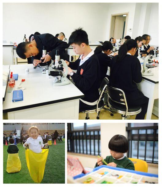 Junhwa International School image