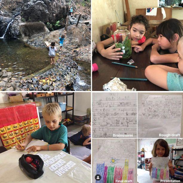 Manglares Discovery School image