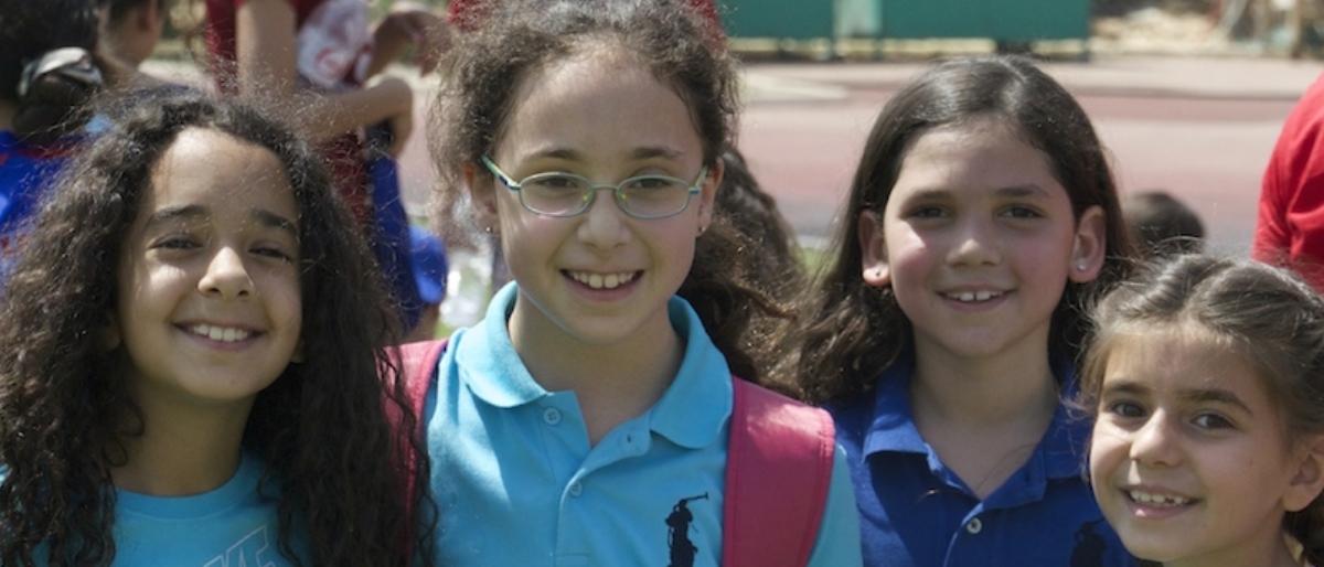 American International School in Egypt (Main Campus) image