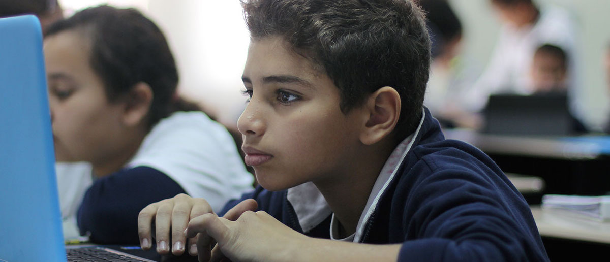 American International School in Egypt (West Campus) image
