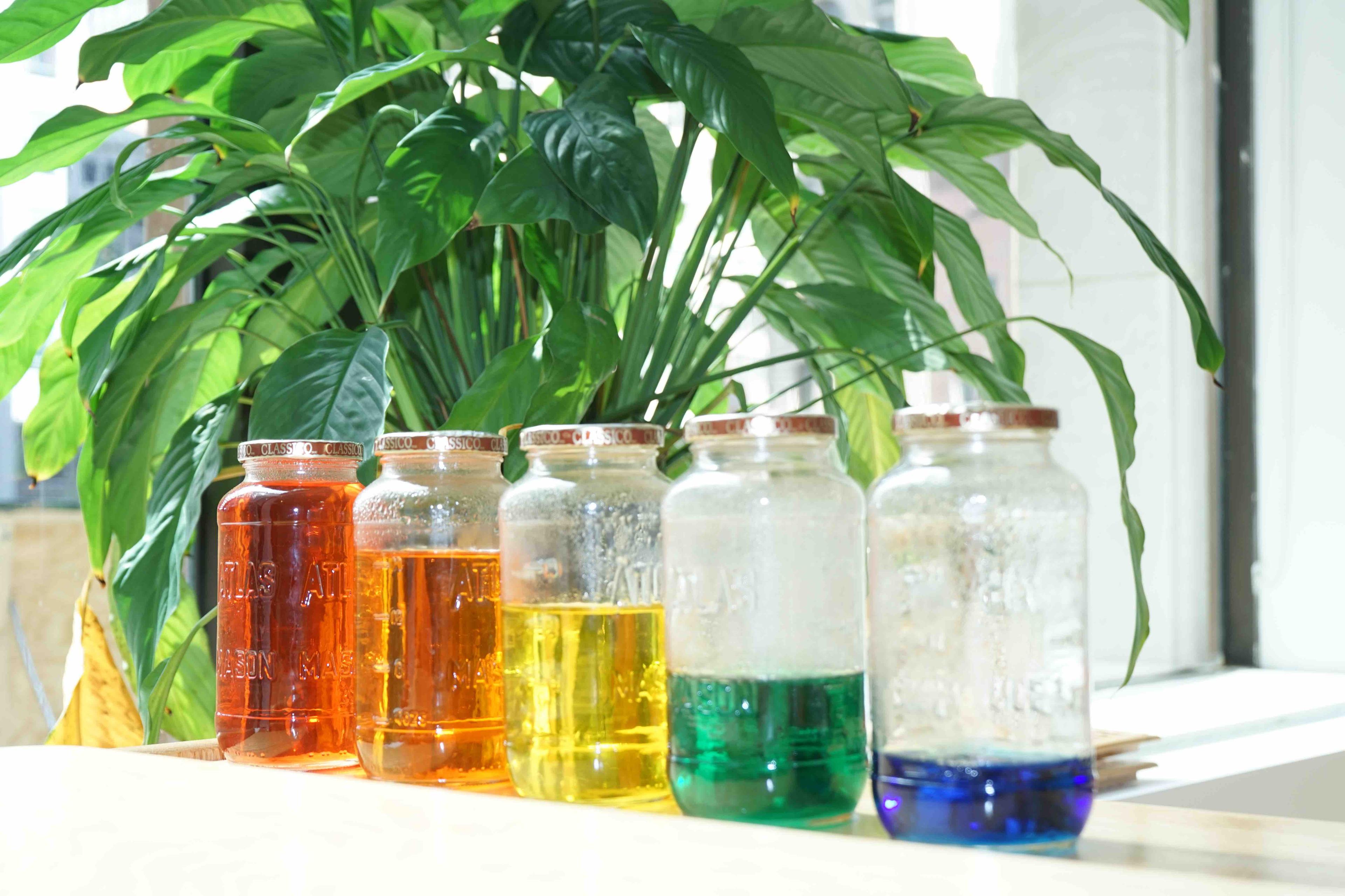 Green Ivy Schools image