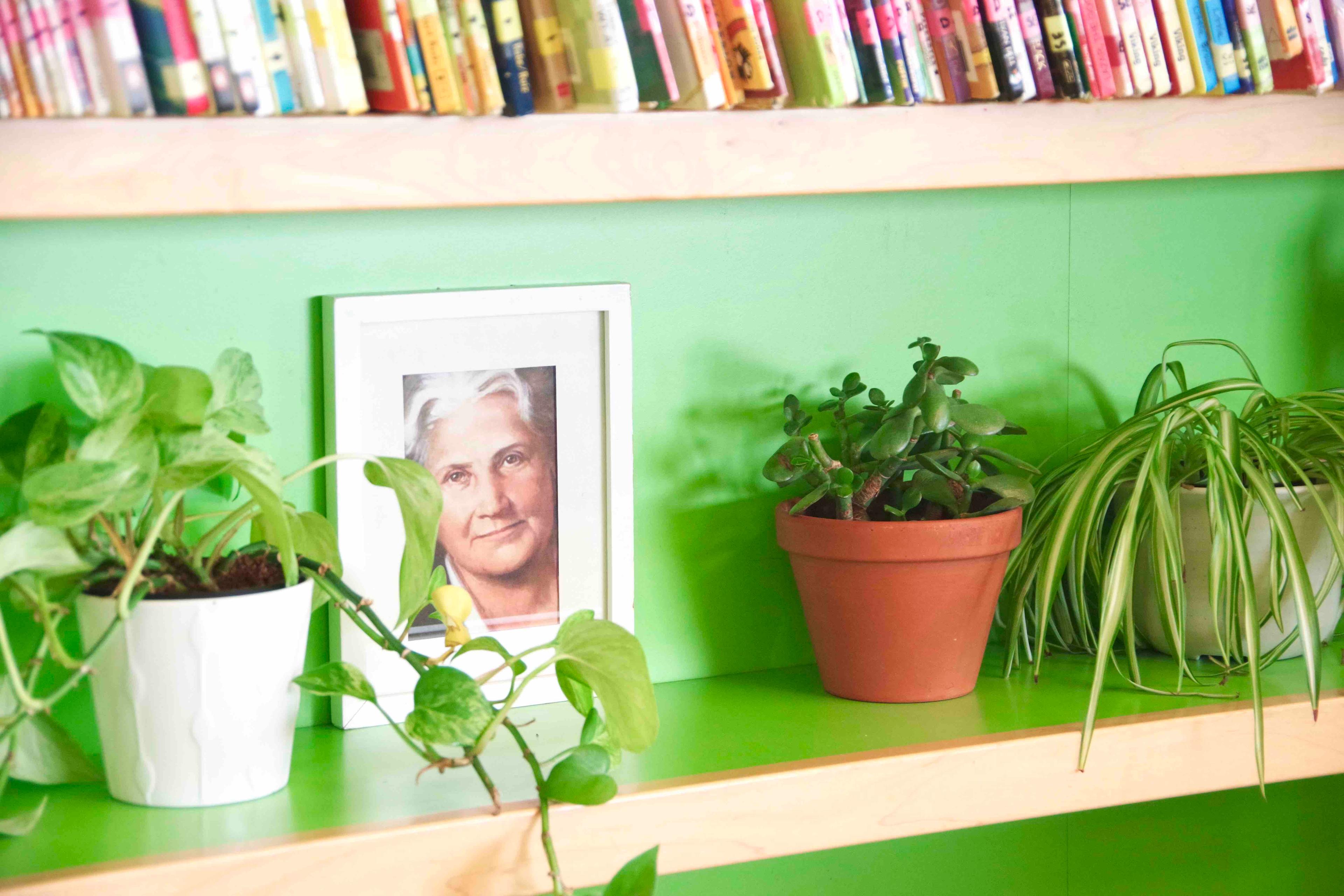 Green Ivy Schools image