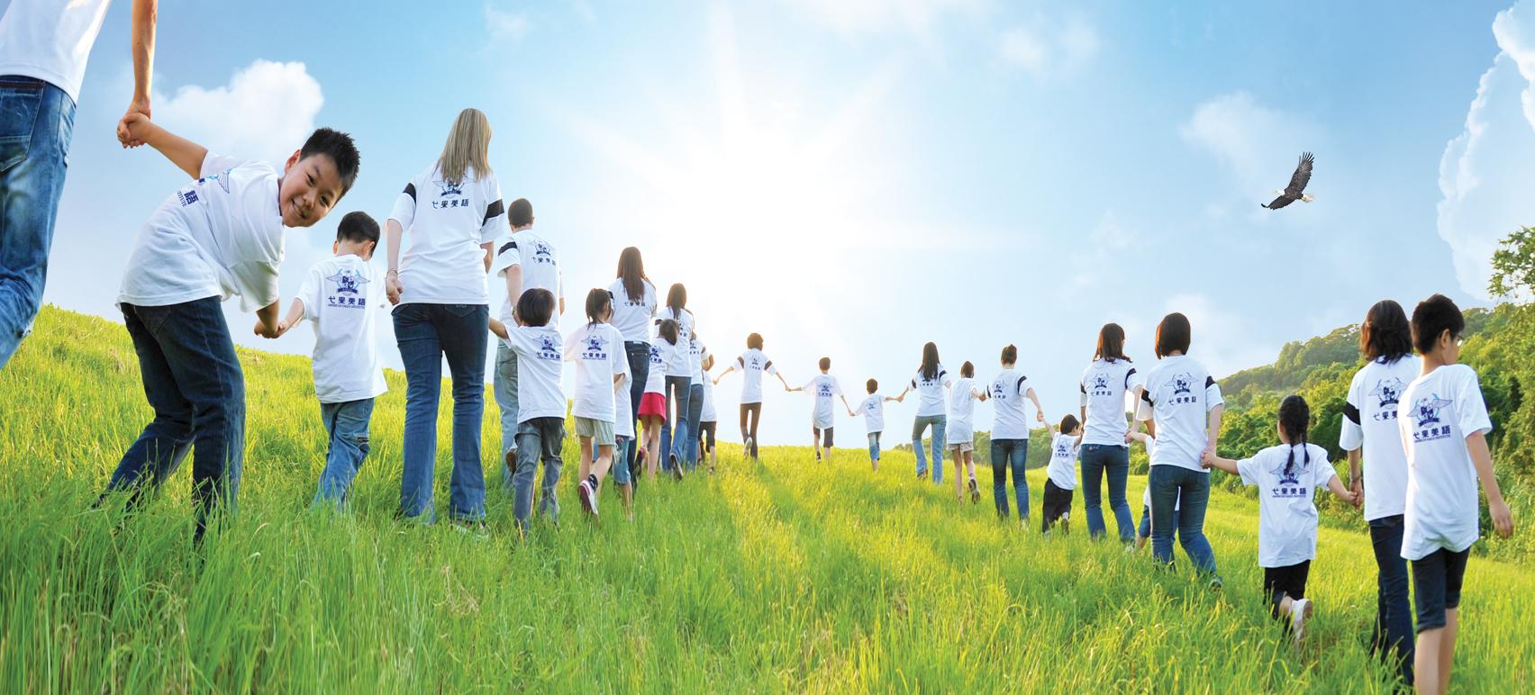 American Eagle Institute image