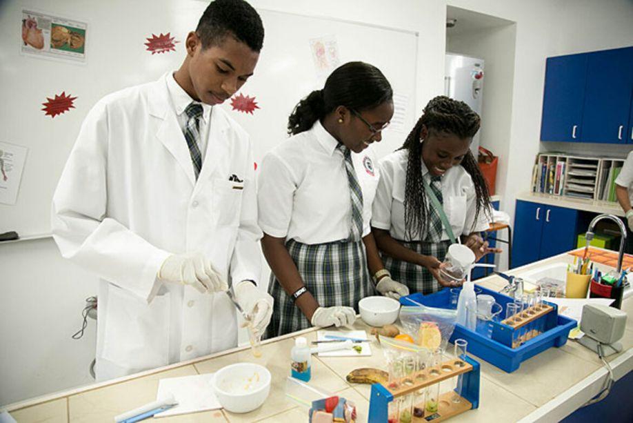 British West Indies Collegiate image
