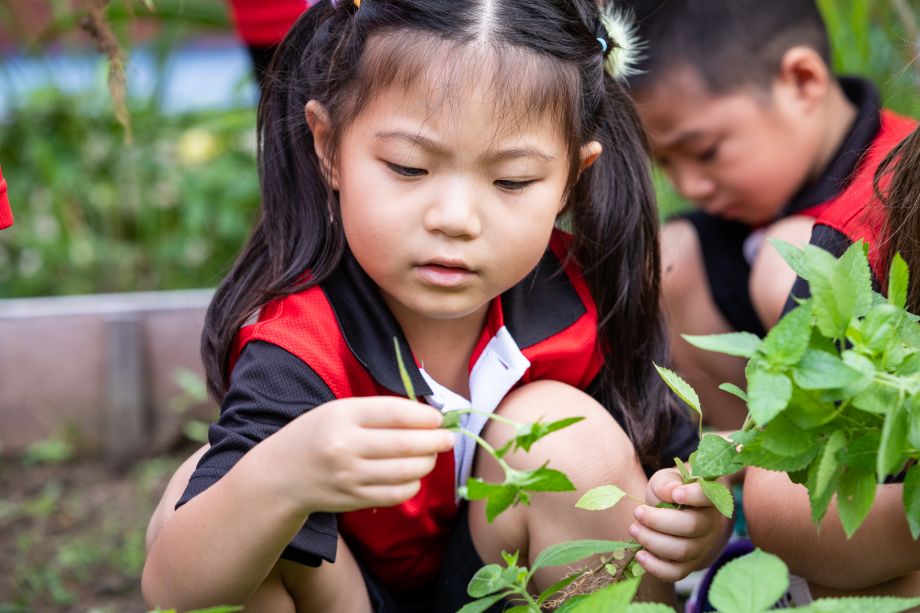 Canadian International School of Singapore image