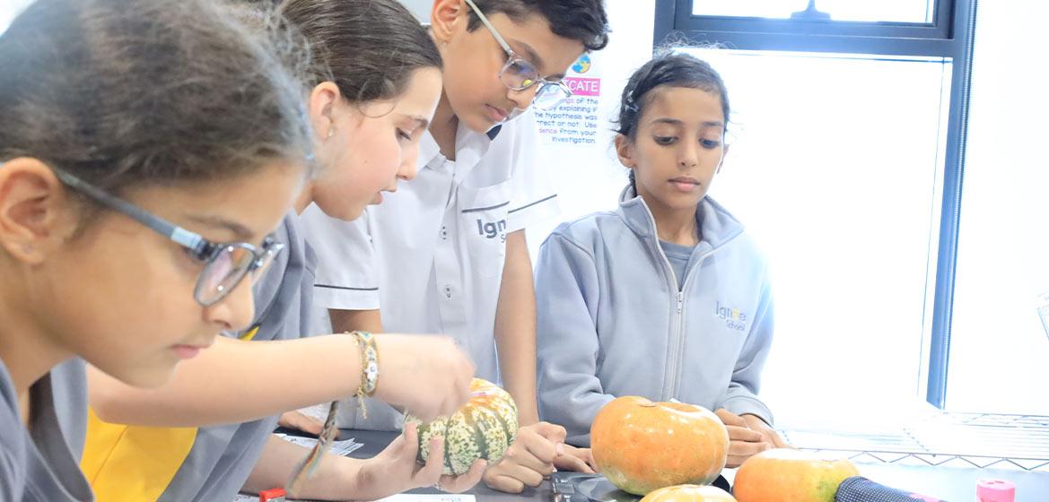 Ignite School image