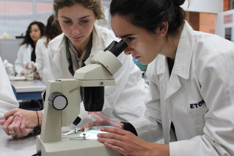 Eton School (Colegio Eton) image