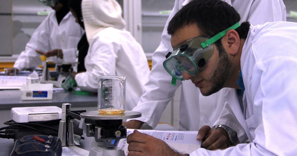 Academic Bridge Program (Qatar) image