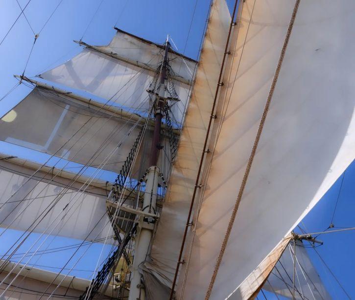 A+ World Academy (an at sea adventure boarding school) image