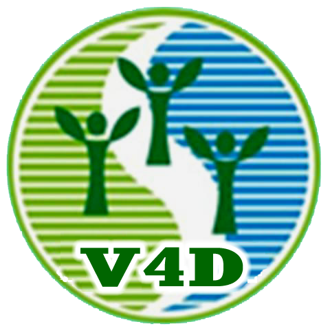 School image
