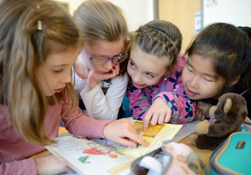 International School of Stuttgart e.V. image