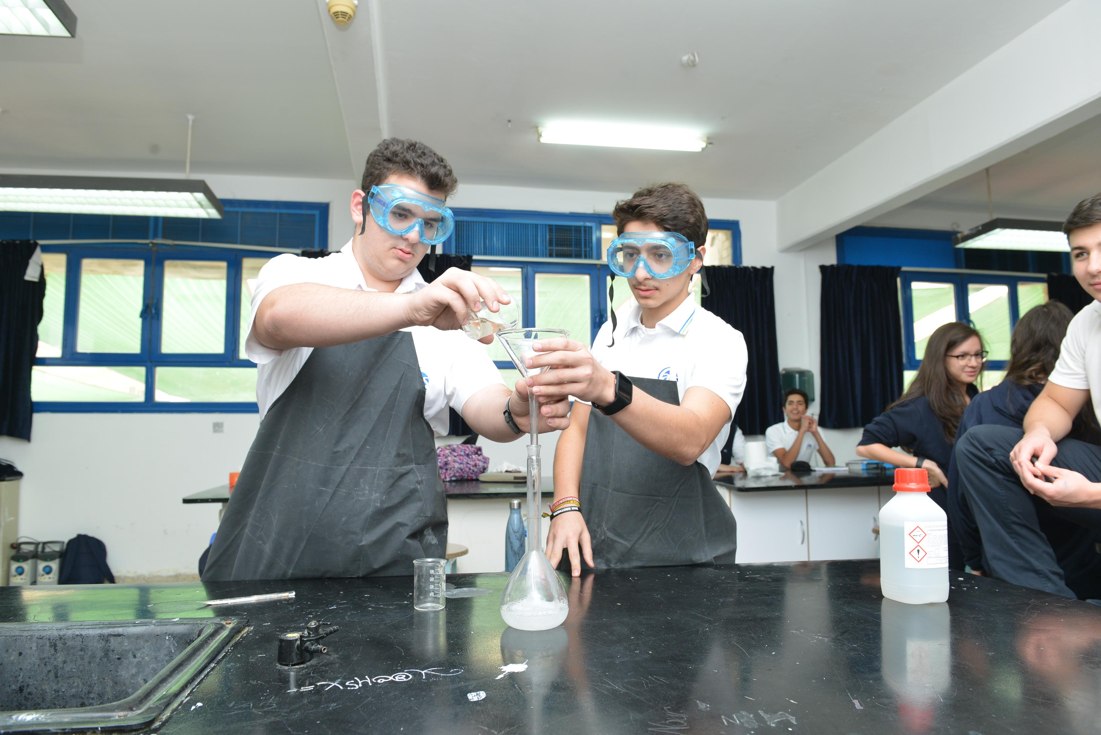 American International School image