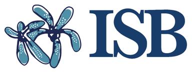School image