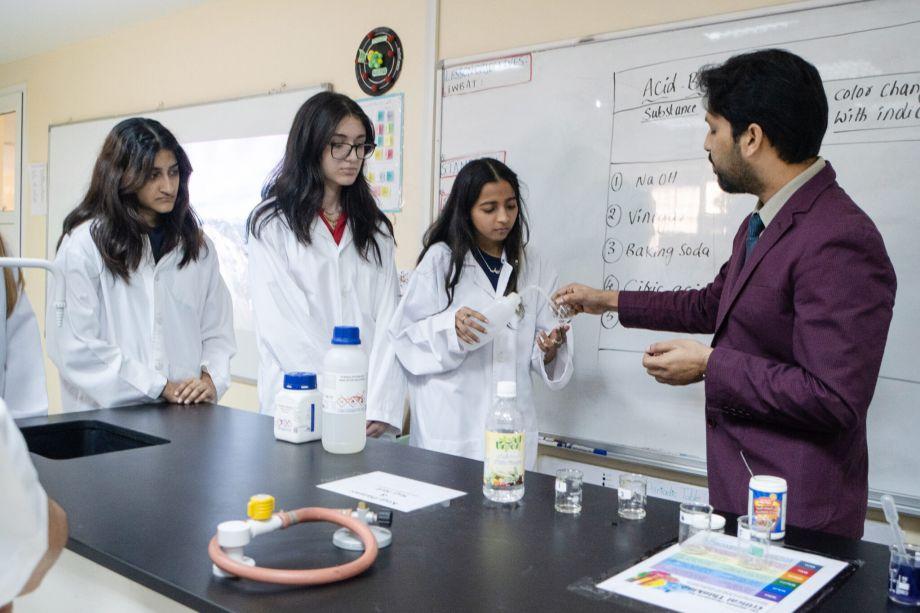 North American International School image