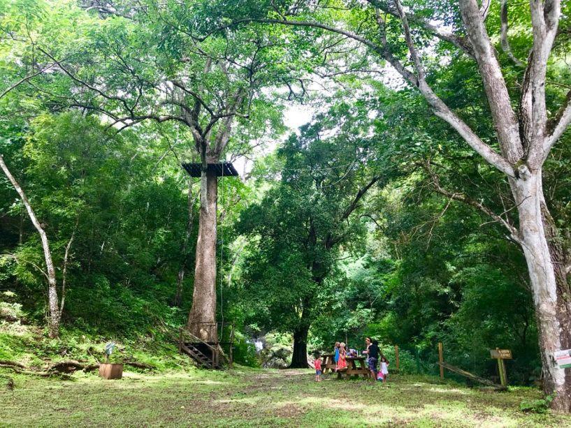 Manglares Discovery School image