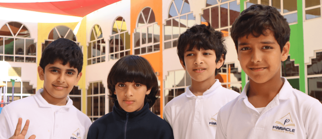 Pinnacle American School image