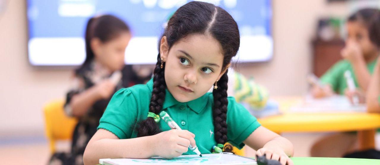 Pinnacle American School image
