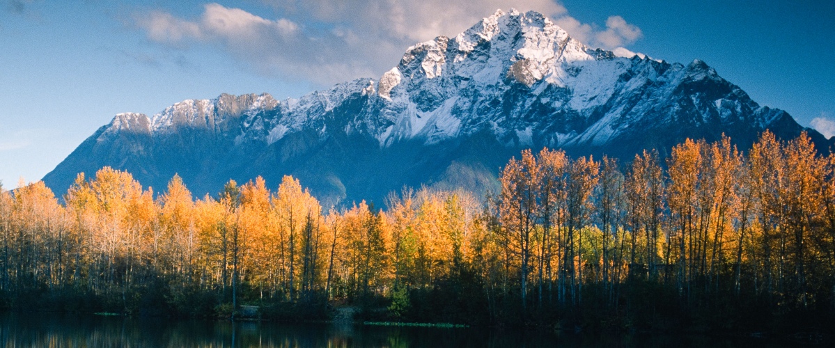 Matanuska–Susitna Borough School District image