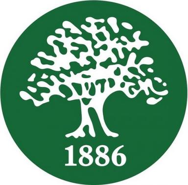 School image