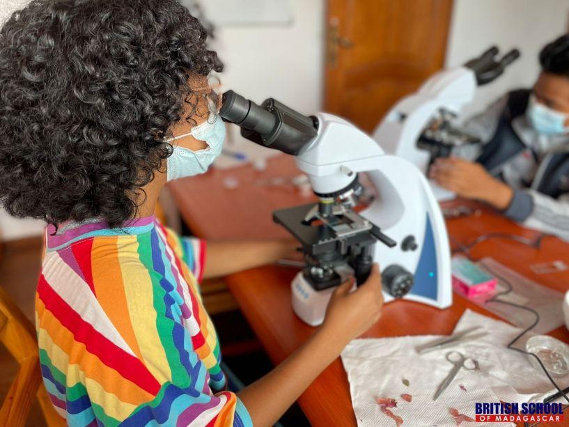 British School of Madagascar image