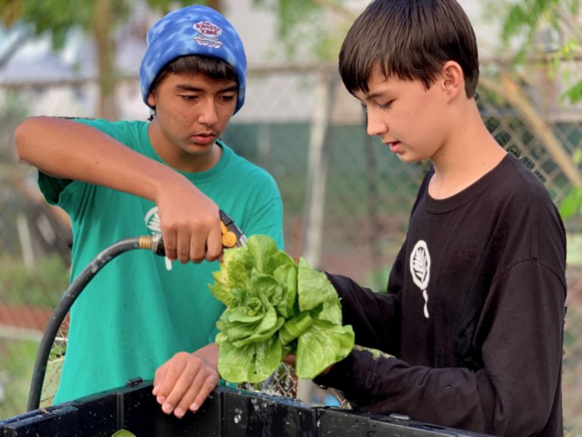 SEEQS: the School for Examining Essential Questions of Sustainability image