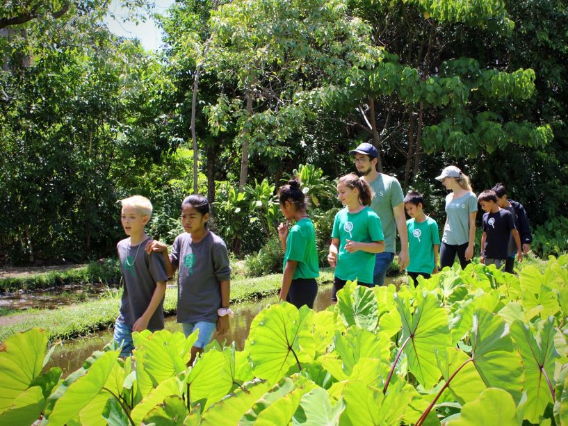 SEEQS: the School for Examining Essential Questions of Sustainability image