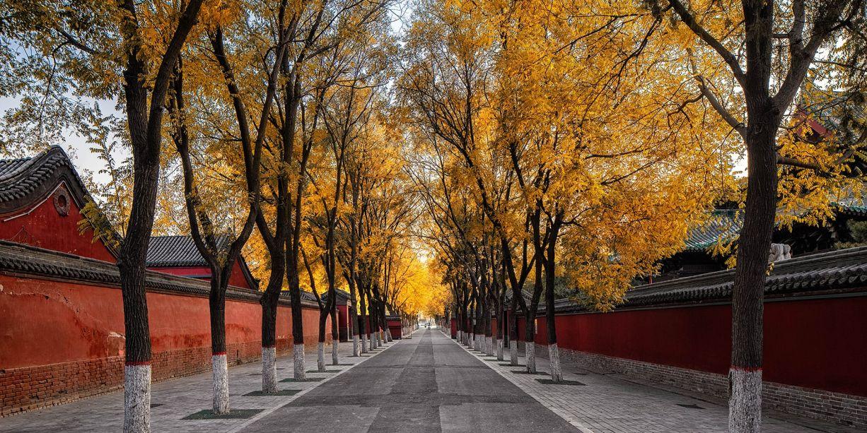 EF English First, Shijiazhuang image
