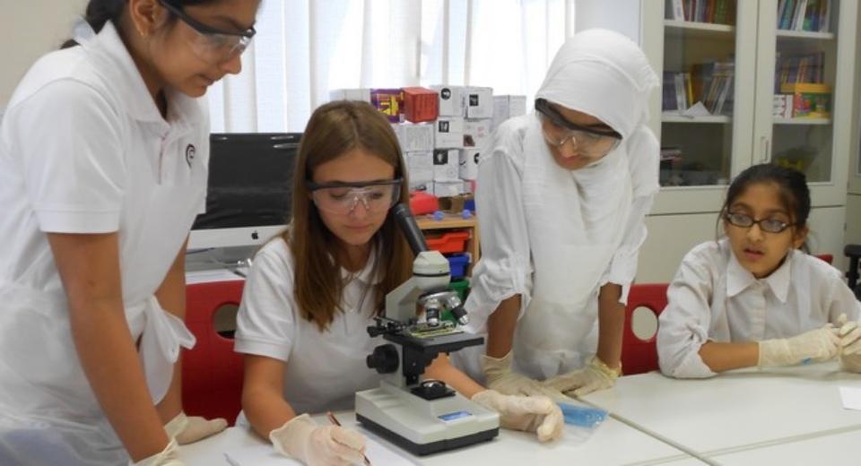 Qatar Academy Sidra image