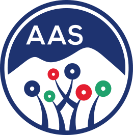 School image