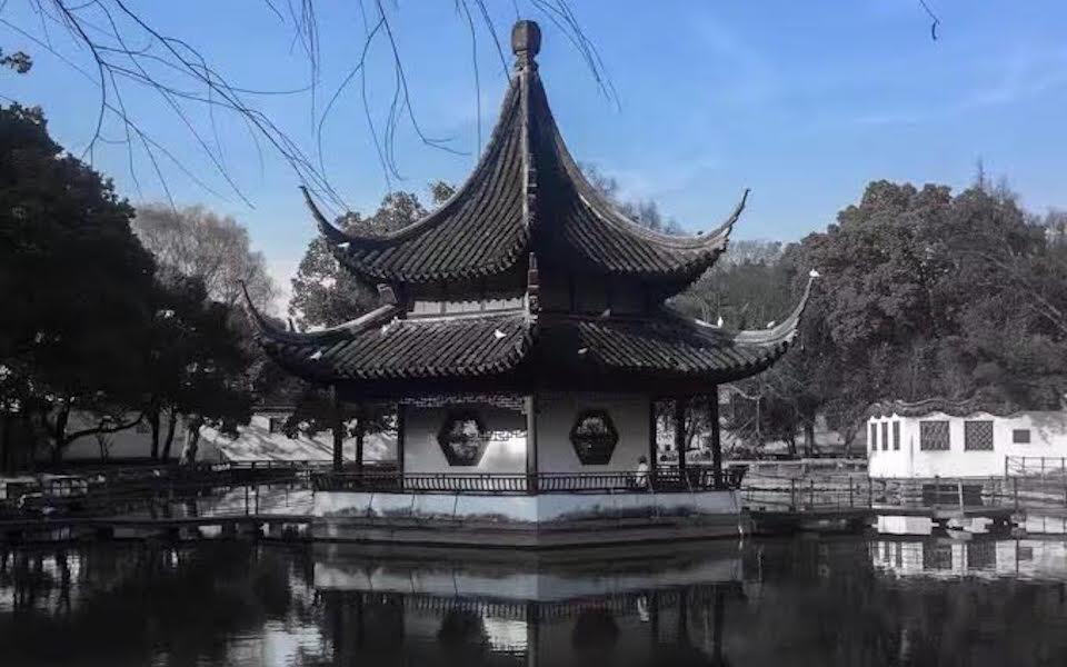 Suzhou Sunflower English image