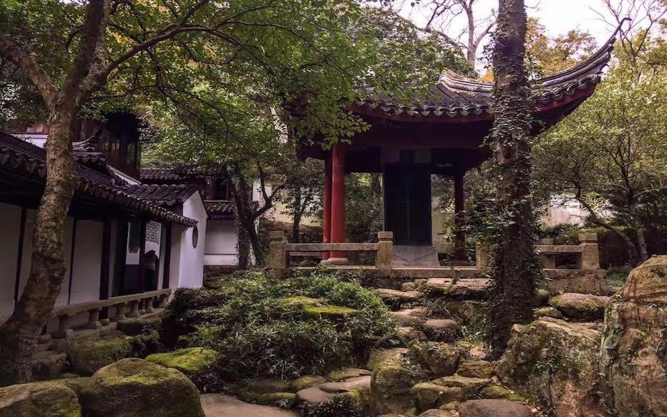 Suzhou Sunflower English image