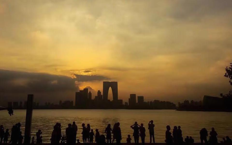 Suzhou Sunflower English image