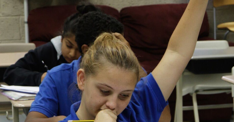 American International School of Jeddah image