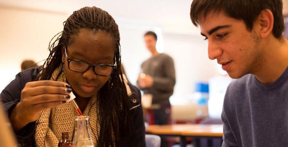 Walworth Barbour American International School image