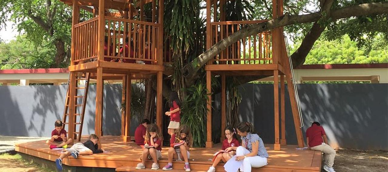 Carol Morgan School image