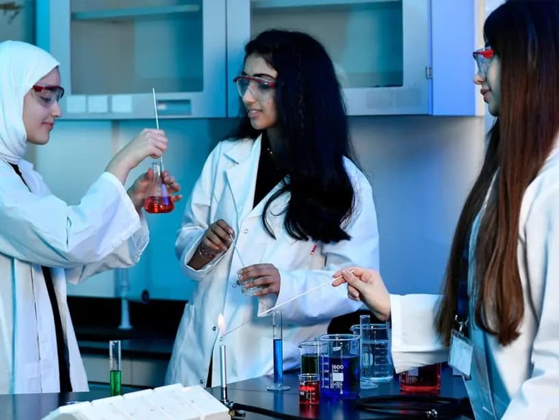 The American Academy for Girls image