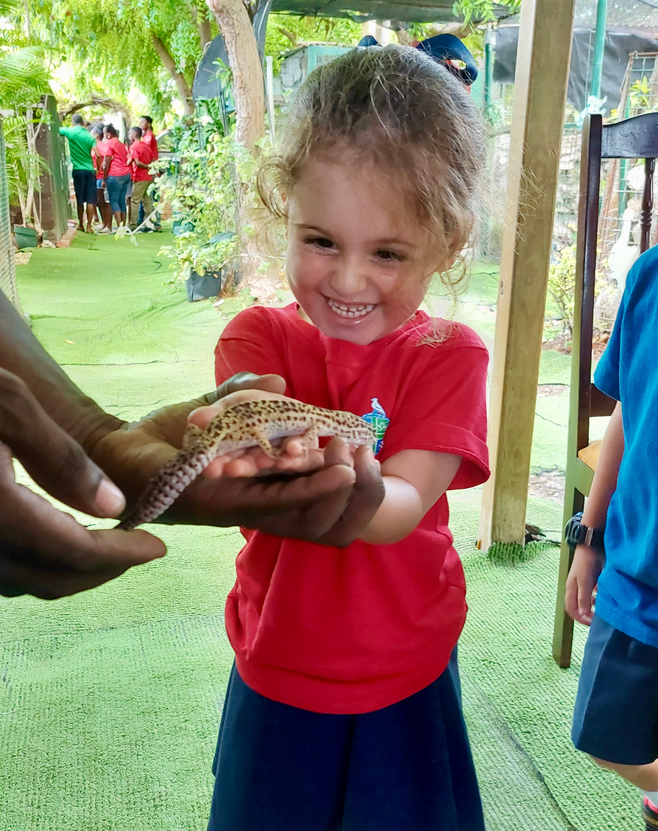 The Codrington School - International School of Barbados image