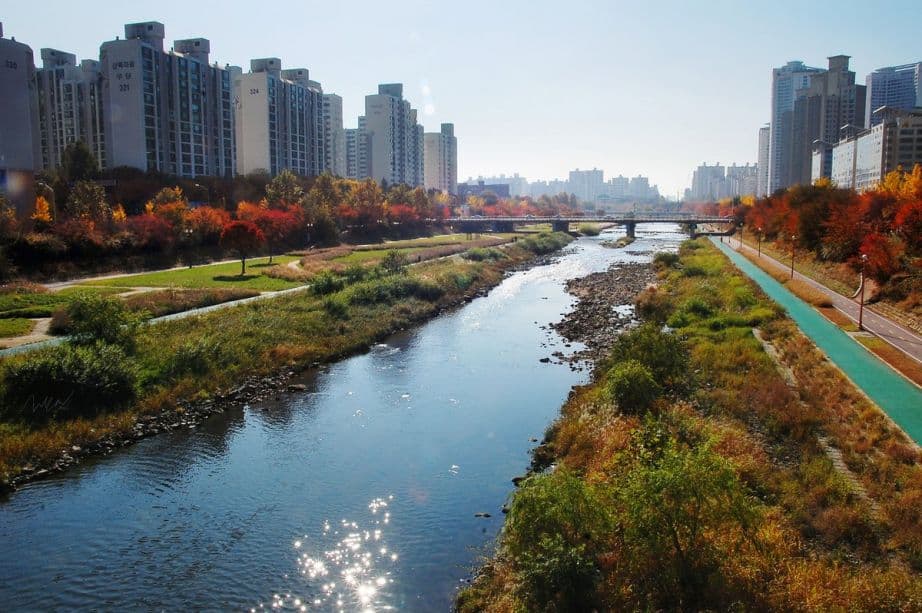 Maple Bear Bundang - KG / Elementary ESL Teacher - Korea job post Maple Bear Bundang Logo for KG / Elementary ESL Teacher - Korea Jobs