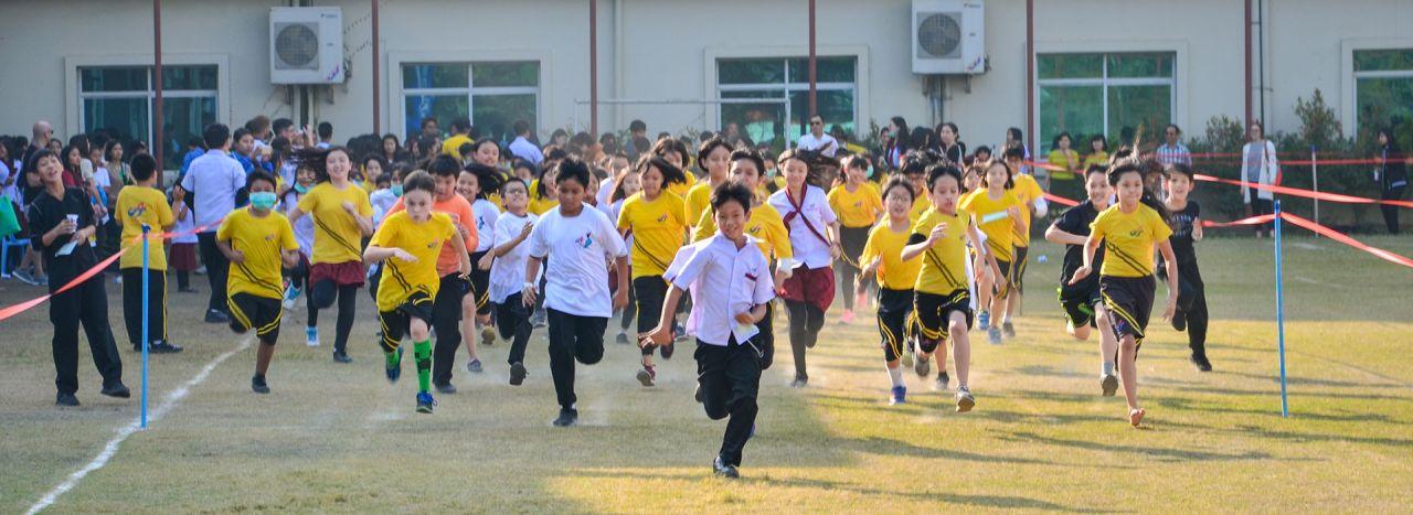 Ayeyarwaddy International School image