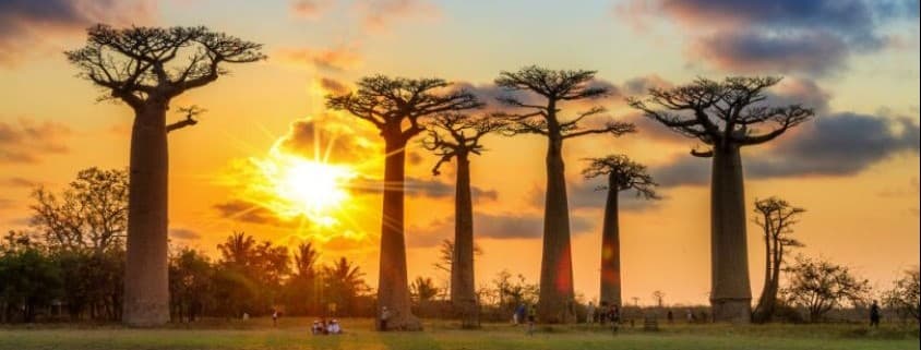British School of Madagascar - High School Science Teacher job post British School of Madagascar Logo for High School Science Teacher Jobs