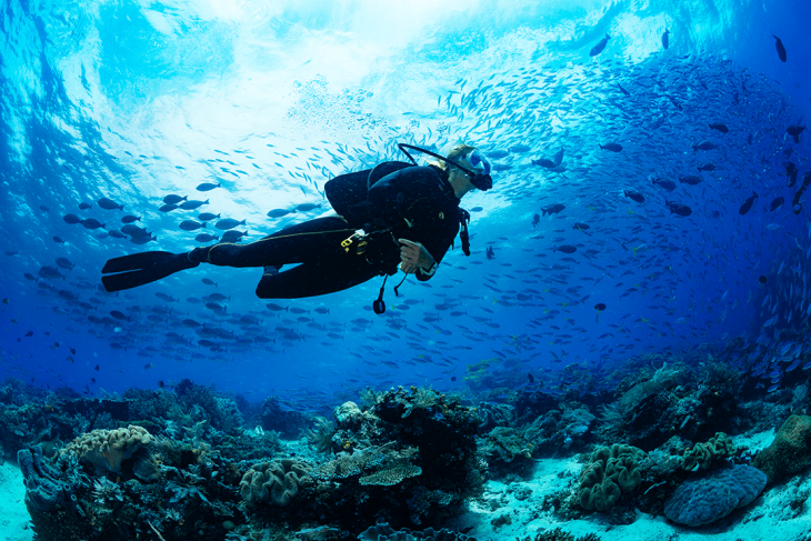 scuba diver in ocean