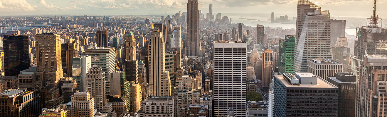 Jobs New Yorker Jobs New Yorker