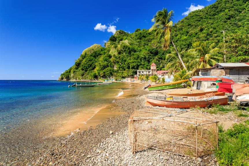 dominica dominica