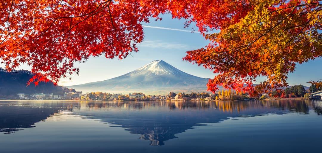 Japan Av Picture